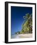 Kings Beach, Barbados, Caribbean Islands-null-Framed Photographic Print