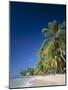 Kings Beach, Barbados, Caribbean Islands-null-Mounted Photographic Print