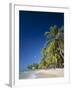 Kings Beach, Barbados, Caribbean Islands-null-Framed Photographic Print