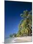 Kings Beach, Barbados, Caribbean Islands-null-Mounted Photographic Print