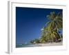 Kings Beach, Barbados, Caribbean Islands-null-Framed Photographic Print