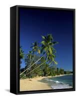 Kings Beach Barbados-null-Framed Stretched Canvas