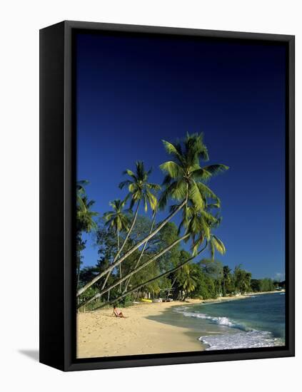 Kings Beach Barbados-null-Framed Stretched Canvas