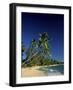 Kings Beach Barbados-null-Framed Photographic Print