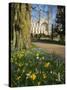 Kings College Chapel, Cambridge, Cambridgeshire, England, United Kingdom, Europe-Charles Bowman-Stretched Canvas