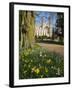 Kings College Chapel, Cambridge, Cambridgeshire, England, United Kingdom, Europe-Charles Bowman-Framed Photographic Print