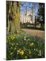 Kings College Chapel, Cambridge, Cambridgeshire, England, United Kingdom, Europe-Charles Bowman-Mounted Photographic Print