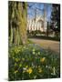 Kings College Chapel, Cambridge, Cambridgeshire, England, United Kingdom, Europe-Charles Bowman-Mounted Photographic Print