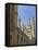 Kings College Chapel, University of Cambridge, Cambridge, England-Simon Montgomery-Framed Stretched Canvas