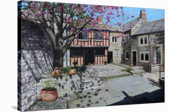 Kings Court, Bakewell, Derbyshire, 2009-Trevor Neal-Stretched Canvas