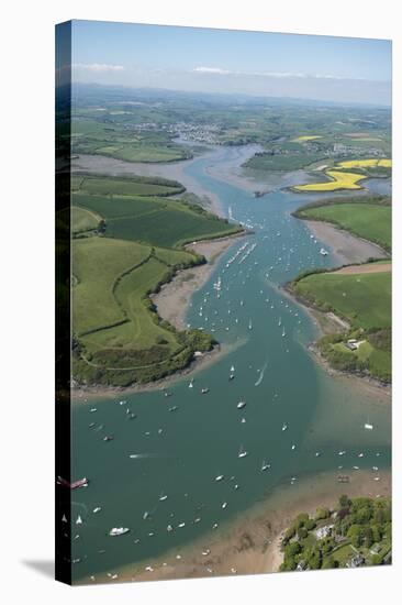 Kingsbridge Estuary, Devon, England, United Kingdom, Europe-Dan Burton-Stretched Canvas