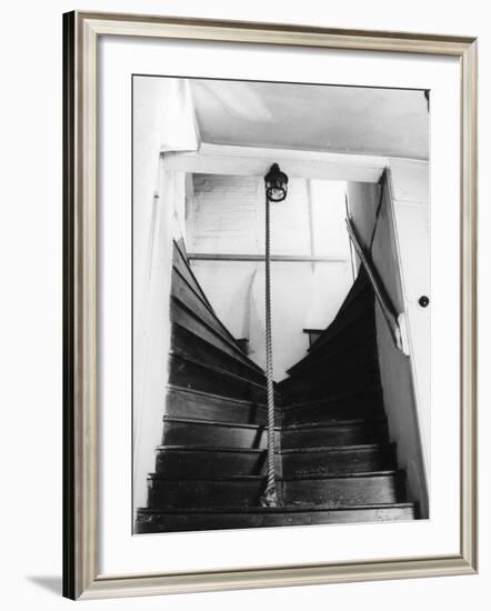 Kingsley's Staircase-null-Framed Photographic Print