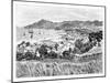 Kingston, St Vincent Island, C1890-null-Mounted Giclee Print