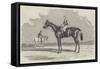 Kingston, the Winner of the Goodwood Cup, 1852-Benjamin Herring-Framed Stretched Canvas