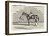 Kingston, the Winner of the Goodwood Cup, 1852-Benjamin Herring-Framed Giclee Print