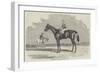 Kingston, the Winner of the Goodwood Cup, 1852-Benjamin Herring-Framed Giclee Print