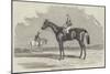 Kingston, the Winner of the Goodwood Cup, 1852-Benjamin Herring-Mounted Giclee Print