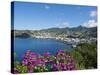 Kingstown Harbour, St. Vincent, St. Vincent and the Grenadines, Windward Islands-Michael DeFreitas-Stretched Canvas