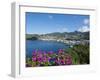 Kingstown Harbour, St. Vincent, St. Vincent and the Grenadines, Windward Islands-Michael DeFreitas-Framed Photographic Print