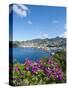 Kingstown Harbour, St. Vincent, St. Vincent and the Grenadines, Windward Islands-Michael DeFreitas-Stretched Canvas