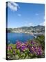 Kingstown Harbour, St. Vincent, St. Vincent and the Grenadines, Windward Islands-Michael DeFreitas-Stretched Canvas