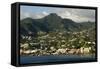 Kingstown, St. Vincent, Windward Islands, West Indies, Caribbean, Central America-Tony-Framed Stretched Canvas