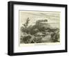 Kini Balu, Obsoken Bay, Borneo-null-Framed Giclee Print