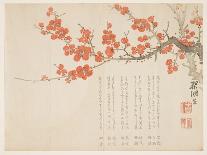 Full Moon and Plum Blossoms, C.1860-Kink?-Giclee Print