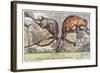 Kinkajou and Coatimundi-null-Framed Art Print