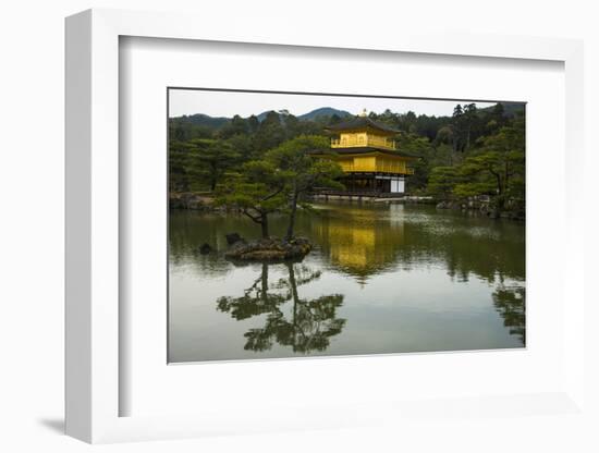 Kinkaku-Ji (Golden Pavilion) Buddhist Temple, UNESCO World Heritage Site, Kyoto, Japan, Asia-Michael Runkel-Framed Photographic Print