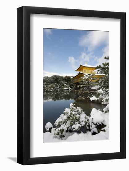 Kinkaku-ji Temple (Golden Pavilion), UNESCO World Heritage Site, in winter, Kyoto, Japan, Asia-Damien Douxchamps-Framed Photographic Print