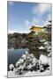 Kinkaku-ji Temple (Golden Pavilion), UNESCO World Heritage Site, in winter, Kyoto, Japan, Asia-Damien Douxchamps-Mounted Photographic Print