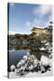 Kinkaku-ji Temple (Golden Pavilion), UNESCO World Heritage Site, in winter, Kyoto, Japan, Asia-Damien Douxchamps-Stretched Canvas