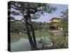 Kinkaku-Ji Temple, Kyoto, Japan-null-Stretched Canvas