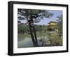 Kinkaku-Ji Temple, Kyoto, Japan-null-Framed Premium Photographic Print