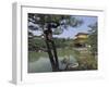 Kinkaku-Ji Temple, Kyoto, Japan-null-Framed Photographic Print