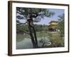 Kinkaku-Ji Temple, Kyoto, Japan-null-Framed Photographic Print