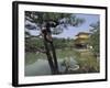 Kinkaku-Ji Temple, Kyoto, Japan-null-Framed Photographic Print