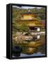 Kinkaku-Ji (The Golden Pavilion), Honshu, Japan-Gavin Hellier-Framed Stretched Canvas