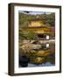 Kinkaku-Ji (The Golden Pavilion), Honshu, Japan-Gavin Hellier-Framed Photographic Print