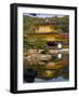 Kinkaku-Ji (The Golden Pavilion), Honshu, Japan-Gavin Hellier-Framed Photographic Print