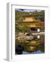 Kinkaku-Ji (The Golden Pavilion), Honshu, Japan-Gavin Hellier-Framed Photographic Print