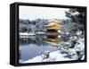 Kinkakuji Temple in Snow-null-Framed Stretched Canvas