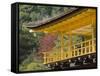 Kinkakuji Temple, Kyoto, Kansai, Honshu, Japan-Schlenker Jochen-Framed Stretched Canvas