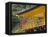 Kinkakuji Temple, Kyoto, Kansai, Honshu, Japan-Schlenker Jochen-Framed Stretched Canvas