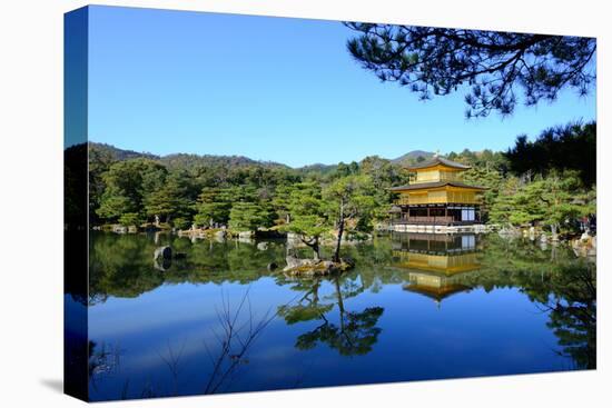 Kinkakuji Temple (The Golden Pavilion) in Kyoto, Japan-num_skyman-Stretched Canvas