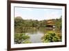 Kinkakuji Temple (The Golden Pavilion) in Kyoto, Japan-videowokart-Framed Photographic Print