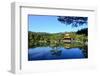 Kinkakuji Temple (The Golden Pavilion) in Kyoto, Japan-num_skyman-Framed Photographic Print