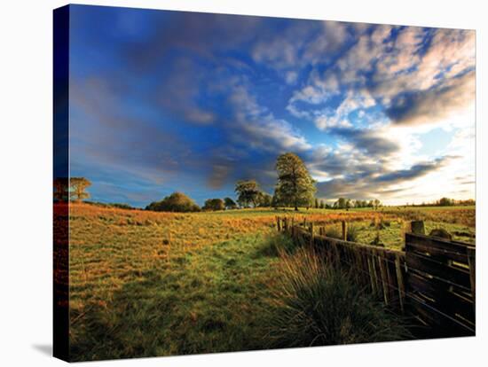 Kinmount Field-Dale MacMillan-Stretched Canvas