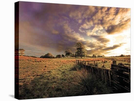 Kinmount Field-Dale MacMillan-Stretched Canvas